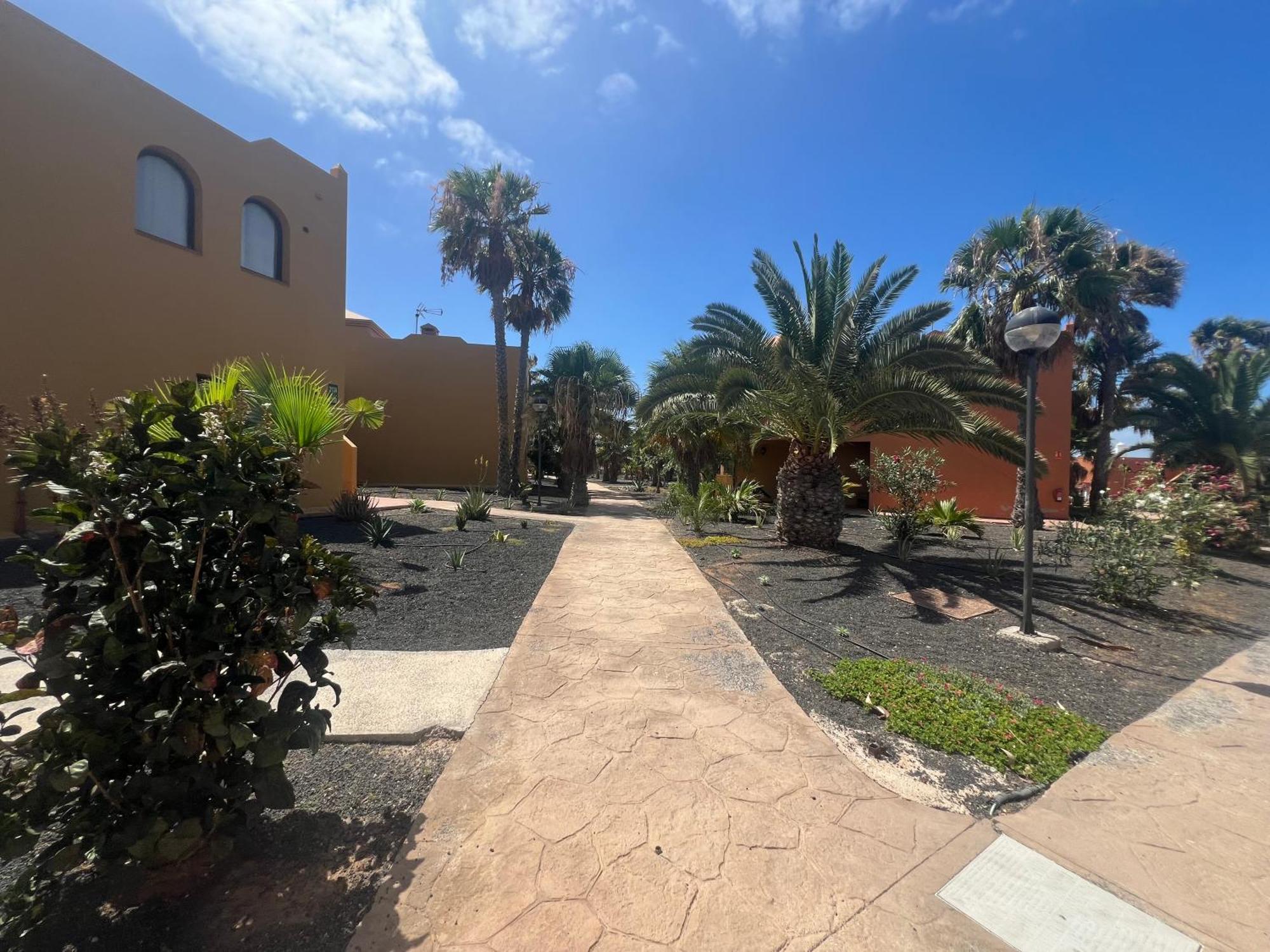 Paraiso Del Mar Corralejo Buitenkant foto